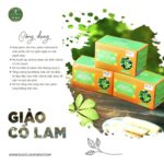 Trà dược liệu túi lọc Giảo Cổ Lam hạ huyết áp, giảm mỡ máu, hỗ trợ bệnh tiểu đường - Ảnh 8