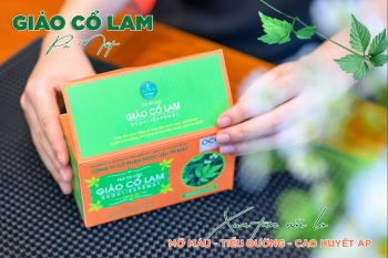 Trà dược liệu túi lọc Giảo Cổ Lam hạ huyết áp, giảm mỡ máu, hỗ trợ bệnh tiểu đường - Ảnh 4