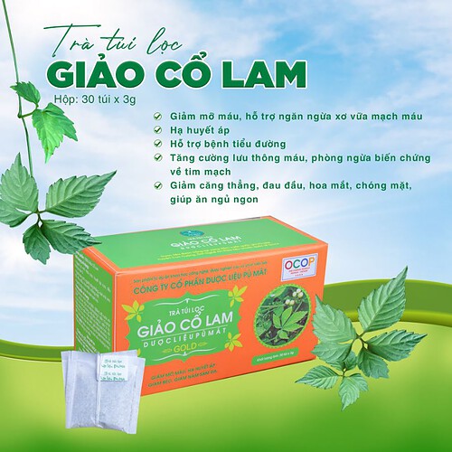 Trà dược liệu túi lọc Giảo Cổ Lam hạ huyết áp, giảm mỡ máu, hỗ trợ bệnh tiểu đường - Ảnh 3