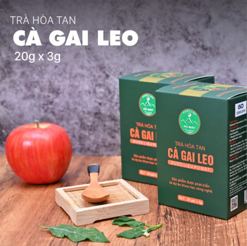 Trà hòa tan Cà Gai Leo  giúp giải độc gan, viêm gan, gan nhiễm mỡ - Ảnh 1
