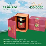 Cao cà gai leo và giảo cổ lam cô đặc nguyên chất 100% - Ảnh 2