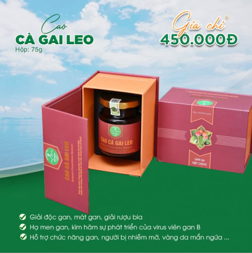 Cao cà gai leo và giảo cổ lam cô đặc nguyên chất 100% - Ảnh 2