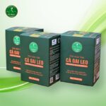 Trà hòa tan Cà Gai Leo giúp giải độc gan, viêm gan, gan nhiễm mỡ - Ảnh 2