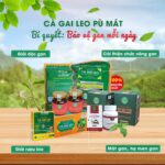 Cao cà gai leo và giảo cổ lam cô đặc nguyên chất 100% - Ảnh 6