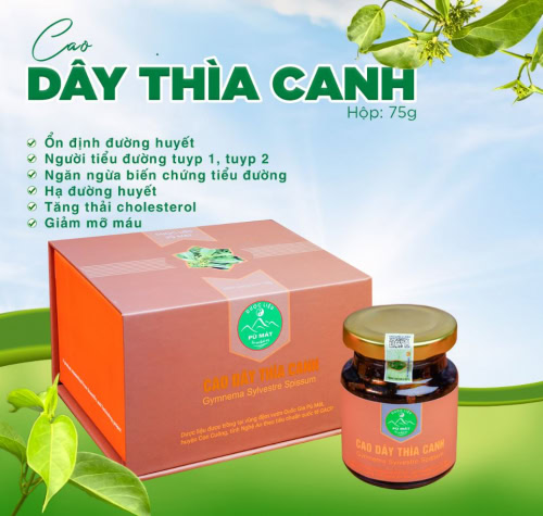 Cao dây thìa canh giúp ổn định đường huyết, ngăn ngừa biến chứng tiểu đường - Ảnh 1