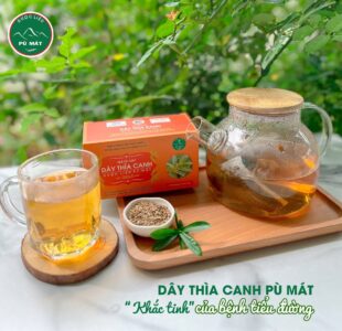 Cao dây thìa canh giúp ổn định đường huyết, ngăn ngừa biến chứng tiểu đường - Ảnh 7
