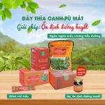 Cao dây thìa canh giúp ổn định đường huyết, ngăn ngừa biến chứng tiểu đường - Ảnh 3