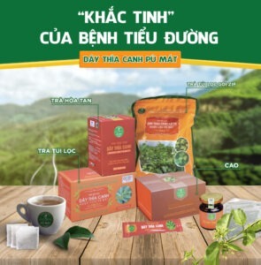 Cao dây thìa canh giúp ổn định đường huyết, ngăn ngừa biến chứng tiểu đường - Ảnh 2