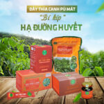 Trà dược liệu túi lọc Dây Thìa Canh lá to, khắc tinh của bệnh tiểu đường - Ảnh 3