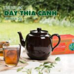 Trà dược liệu túi lọc Dây Thìa Canh giúp ổn định đường huyết, giảm mỡ máu - Ảnh 6