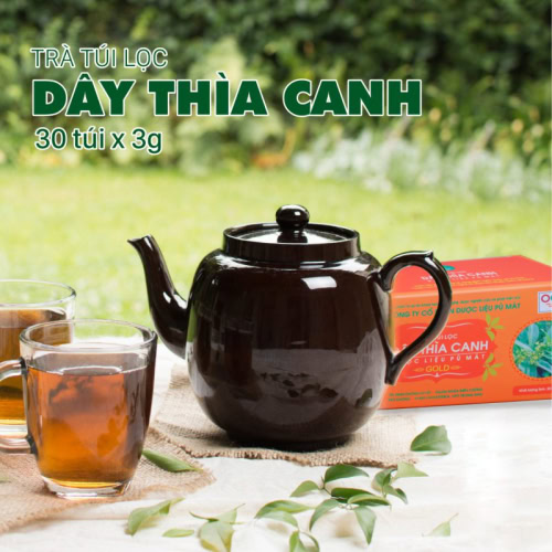Trà dược liệu túi lọc Dây Thìa Canh giúp ổn định đường huyết, giảm mỡ máu - Ảnh 6