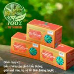 Trà dược liệu túi lọc Dây Thìa Canh giúp ổn định đường huyết, giảm mỡ máu - Ảnh 2