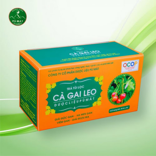 Trà túi lọc cà gai leo nguyên chất - giải độc gan - Ảnh 3