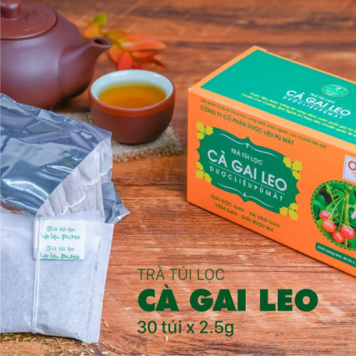 Trà túi lọc cà gai leo nguyên chất - giải độc gan - Ảnh 4