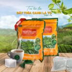 Trà dược liệu túi lọc Dây Thìa Canh lá to, khắc tinh của bệnh tiểu đường