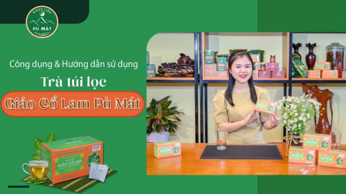 Trà dược liệu túi lọc Dây Thìa Canh giúp ổn định đường huyết, giảm mỡ máu - Ảnh 4