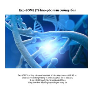 Tinh Chất Dưỡng Da – HAYYIM CELL GROW - Ảnh 5
