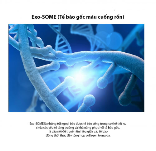 Tinh Chất Dưỡng Da – HAYYIM CELL GROW - Ảnh 5