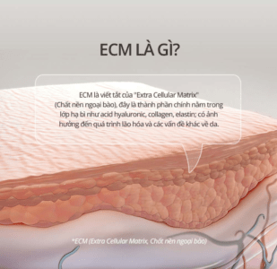 Kem Dưỡng Tái Tạo ECM Chống Lão Hoá - Ảnh 7