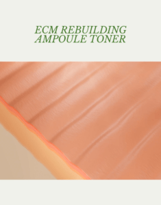 Trắng Da Giảm Nếp Nhăn, ECM Rebuilding Ampoule toner - Ảnh 12