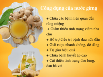 Trà Gừng Hữu Cơ & Mật Ong Tươi 2 trong 1 - Ảnh 6