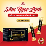 Combo 6 Hộp Thực phẩm bổ sung dịch chiết Sâm Ngọc Linh - Ảnh 2