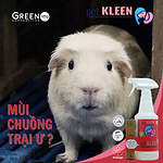 Bộ vi sinh khử mùi thú cưng Pet Kleen (1 chai 500ml + 3 ống 5ml) - Ảnh 3