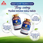 Thực phẩm bảo vệ sức khỏe Hoạt huyết dưỡng não Trường Sinh - Ảnh 3