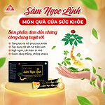 Combo 6 Hộp Thực phẩm bổ sung dịch chiết Sâm Ngọc Linh - Ảnh 3