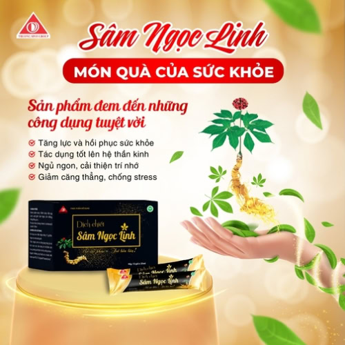 Combo 6 Hộp Thực phẩm bổ sung dịch chiết Sâm Ngọc Linh - Ảnh 3