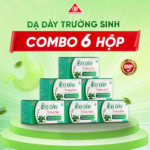Combo 6 hộp Thực phẩm bảo vệ sức khỏe dạ dày Trường Sinh - Ảnh 2