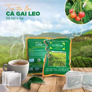 Trà túi lọc 100% cà gai leo nguyên chất - mát gan giải độc