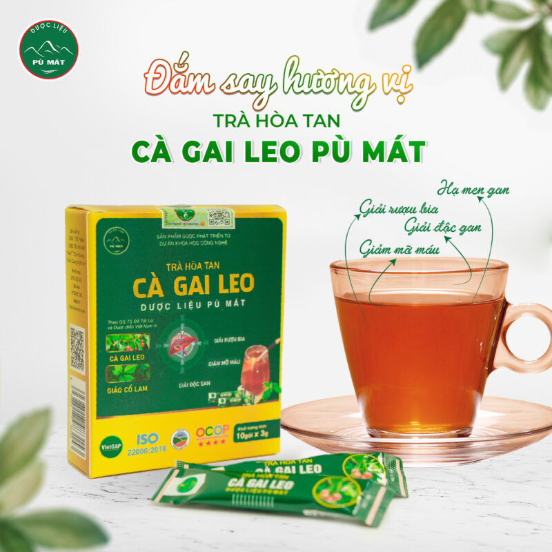 Trà hòa tan Cà Gai Leo kết hợp Giảo Cổ Lam giúp giải độc gan, giảm mỡ máu - Image 5