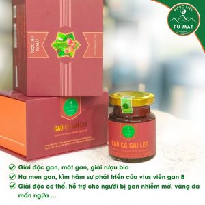 Cao cà gai leo và giảo cổ lam cô đặc nguyên chất 100%