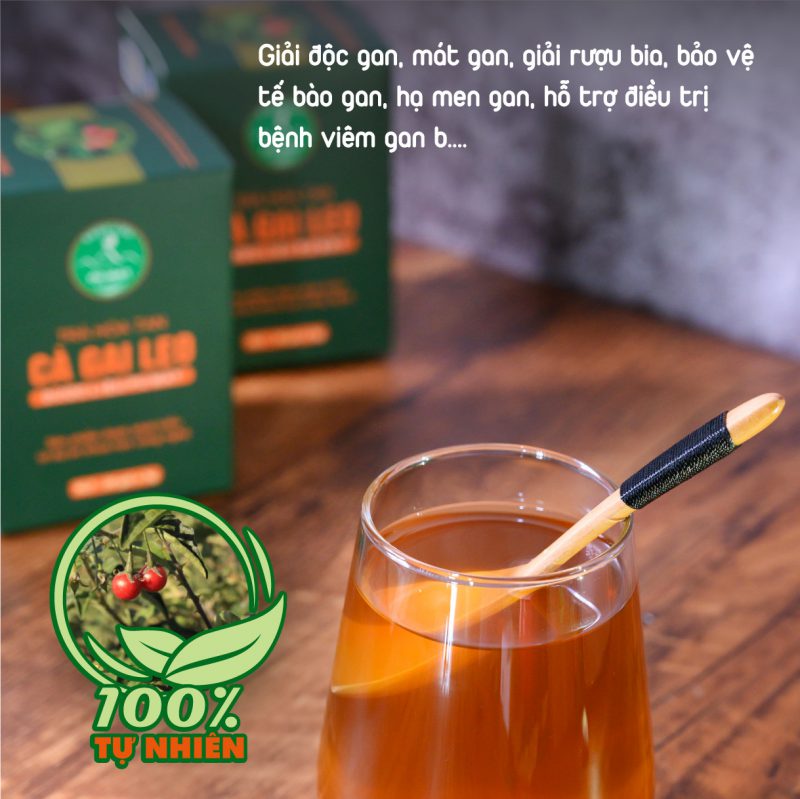 Trà hòa tan Cà Gai Leo giúp giải độc gan, viêm gan, gan nhiễm mỡ - Image 6