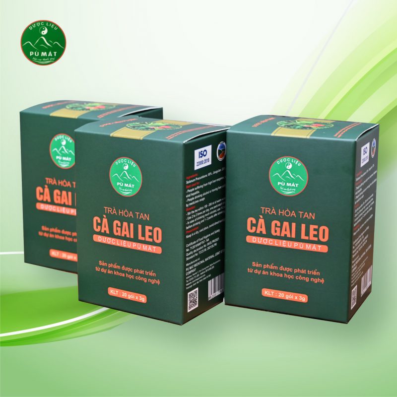 Trà hòa tan Cà Gai Leo giúp giải độc gan, viêm gan, gan nhiễm mỡ - Image 2