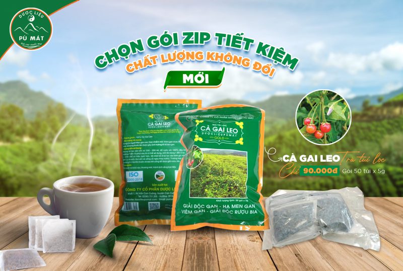 Trà túi lọc 100% cà gai leo nguyên chất - mát gan giải độc - Image 5