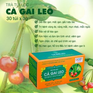 Trà túi lọc cà gai leo nguyên chất - giải độc gan