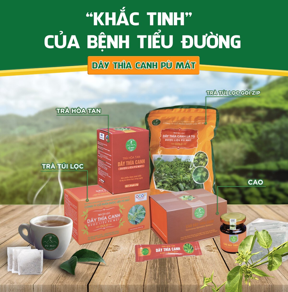 Cao dây thìa canh giúp ổn định đường huyết, ngăn ngừa biến chứng tiểu đường - Image 2