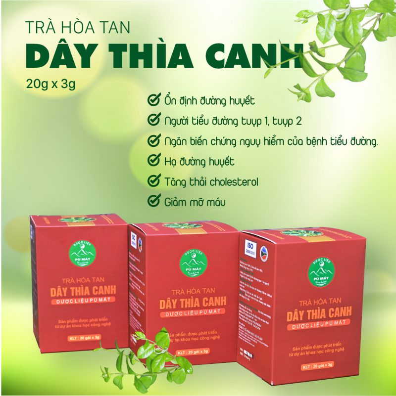 Trà dược liệu hoà tan Dây Thìa Canh khắc tinh của bệnh tiểu đường