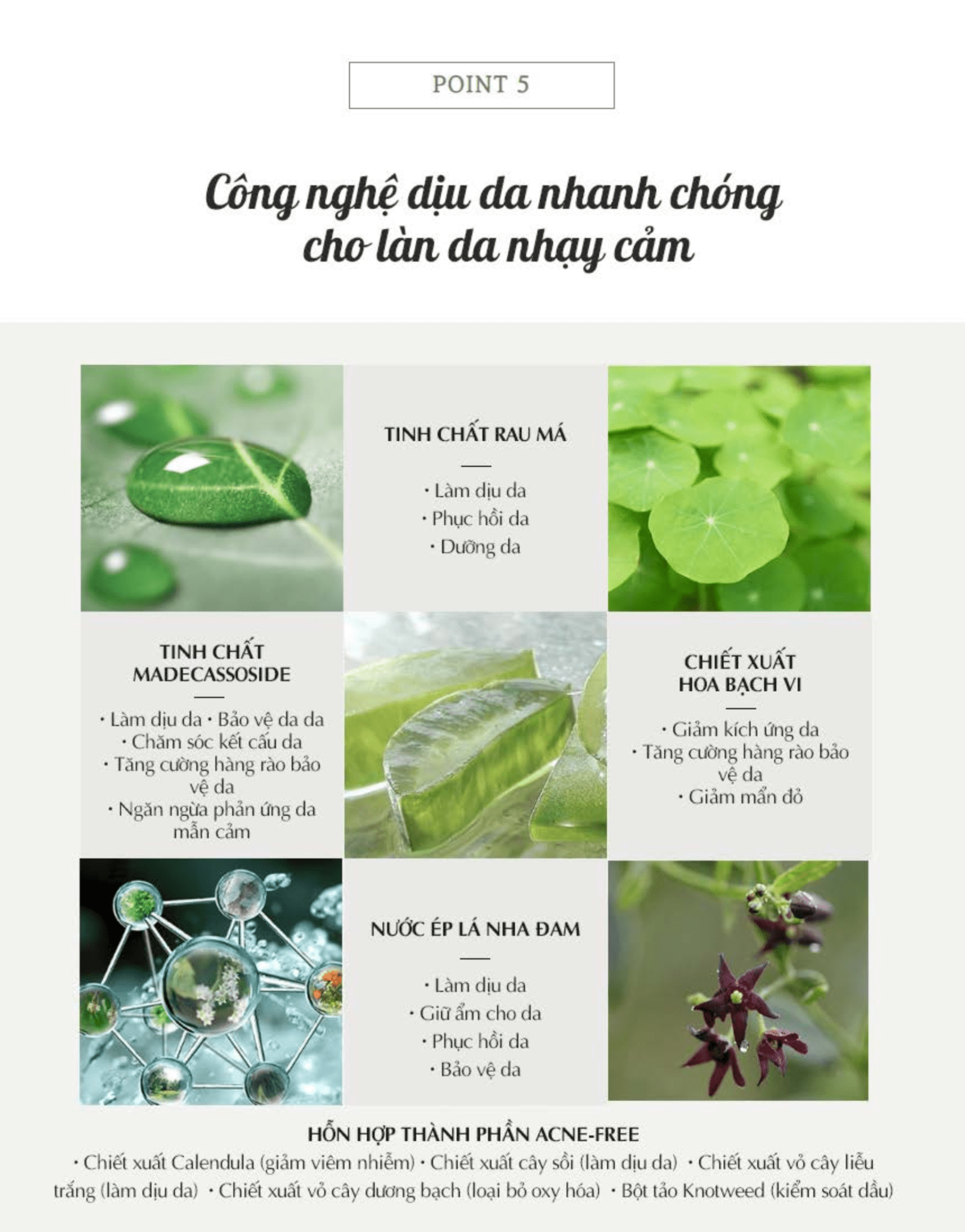 Serum chăm sóc DA HAYYIM CELL GROW CALMING - Image 12