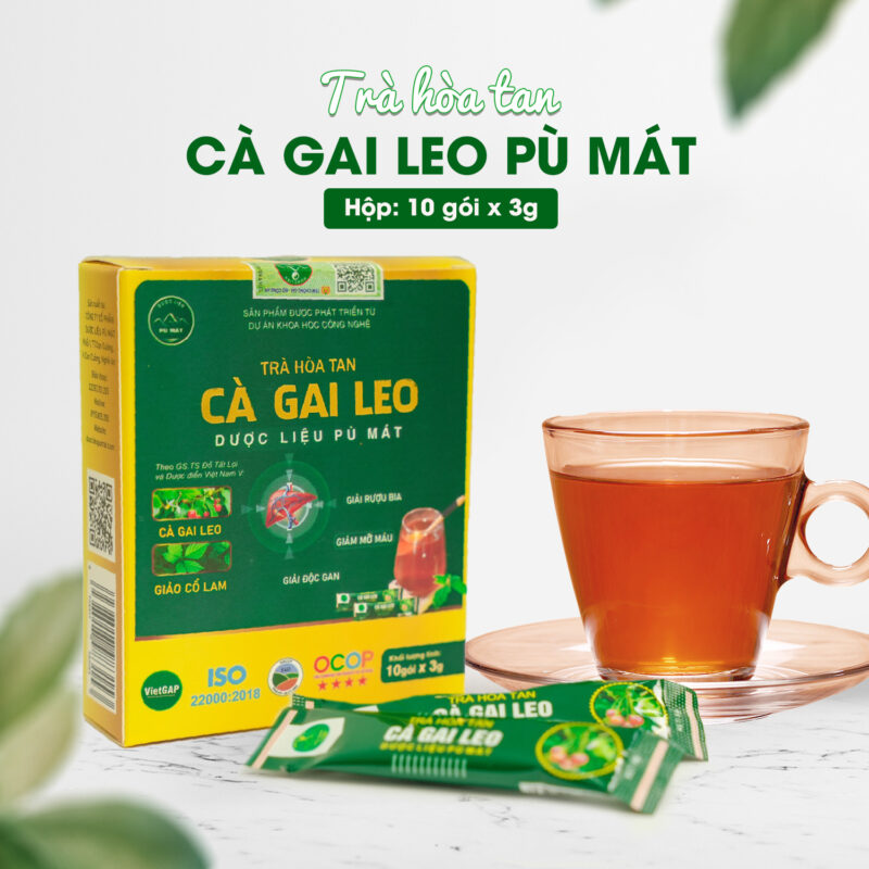 Trà hòa tan Cà Gai Leo kết hợp Giảo Cổ Lam giúp giải độc gan, giảm mỡ máu