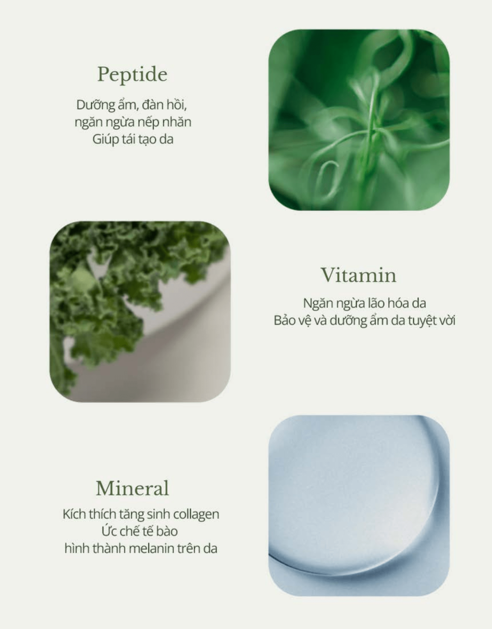 Trắng Da Giảm Nếp Nhăn, ECM Rebuilding Ampoule toner - Image 8