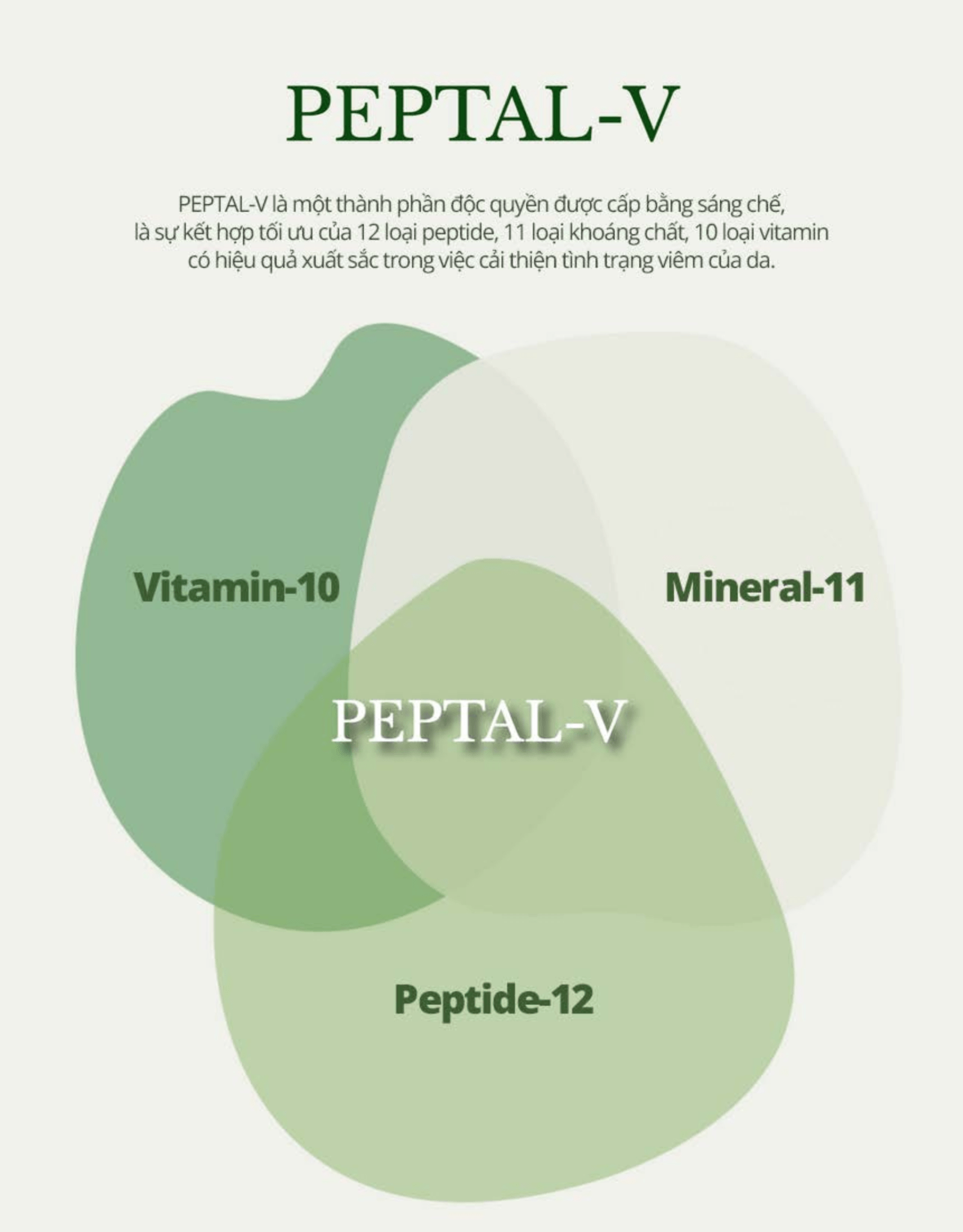 Trắng Da Giảm Nếp Nhăn, ECM Rebuilding Ampoule toner - Image 9