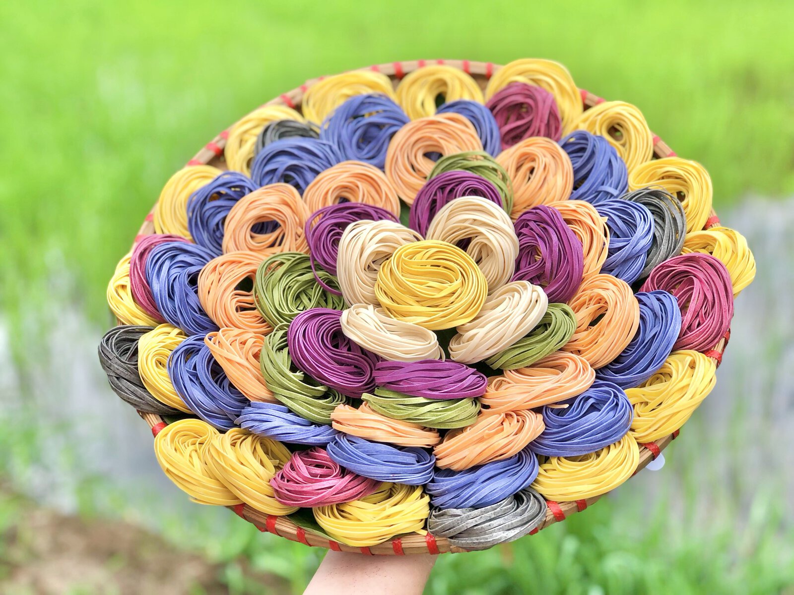 Mì sợi rau củ cầu vồng 500g – Đệ nhất mì ăn kiêng - Image 13