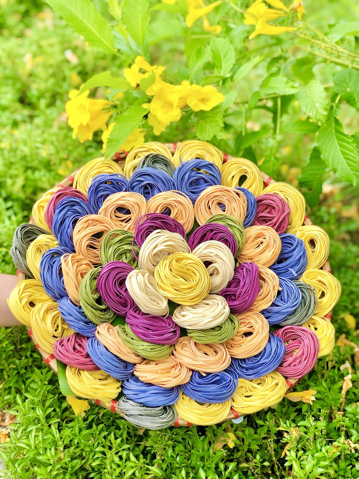 Mì sợi rau củ cầu vồng 500g – Đệ nhất mì ăn kiêng - Image 16