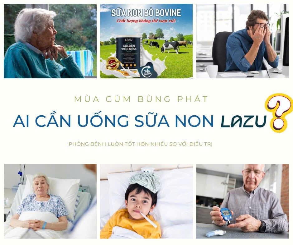 Sữa non tăng đề kháng Lazu Golden Wellness Nhập Khẩu Từ New Zealand - Image 4