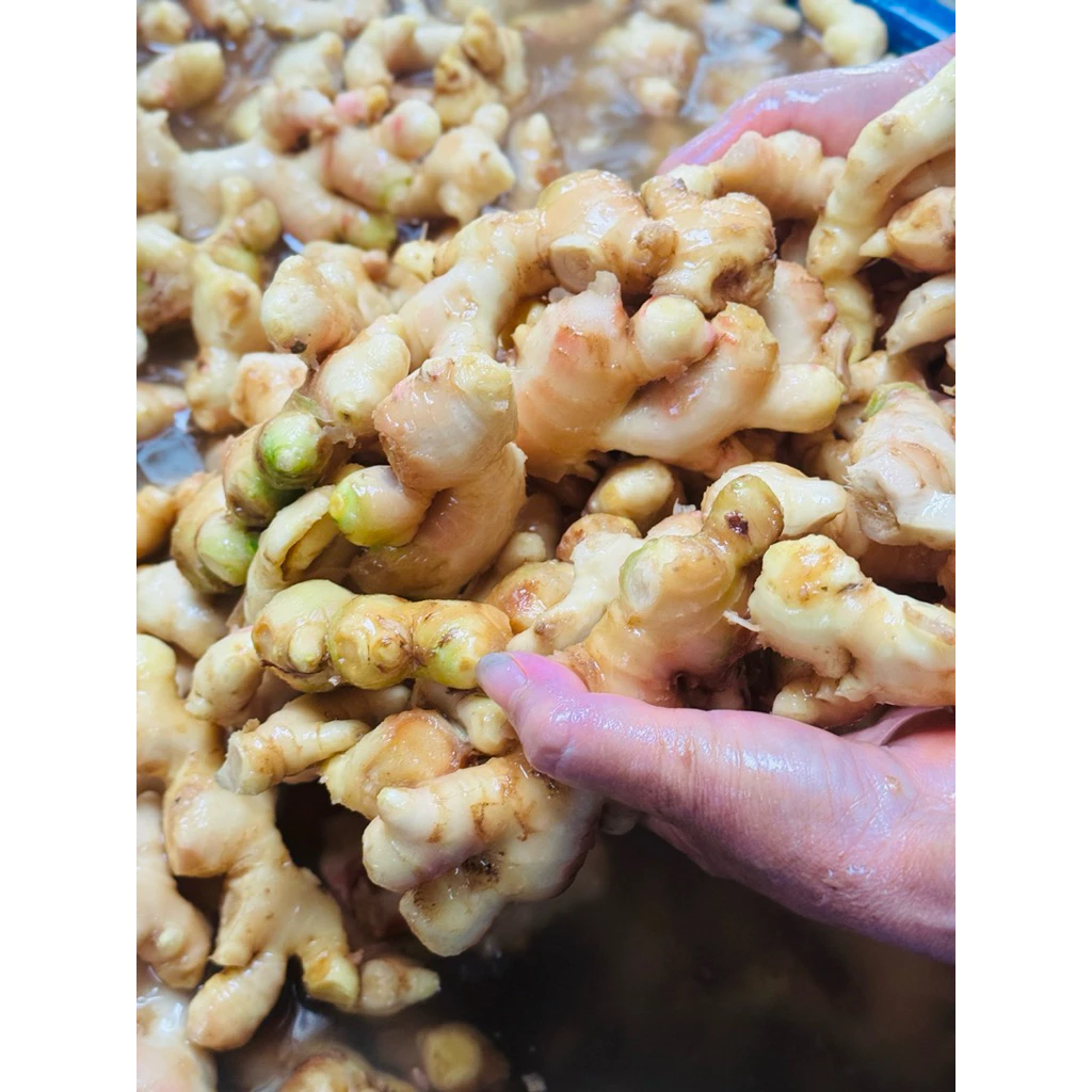 Trà Gừng Sẻ Đường Phèn – Làm Ấm Cơ Thể, Giảm Cảm Lạnh Tự Nhiên (150g) - Image 4